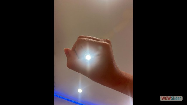 Shut Alexa