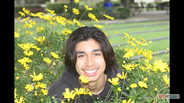 Abdul Shaikh