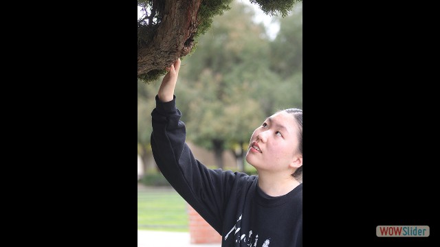 Park Kristian