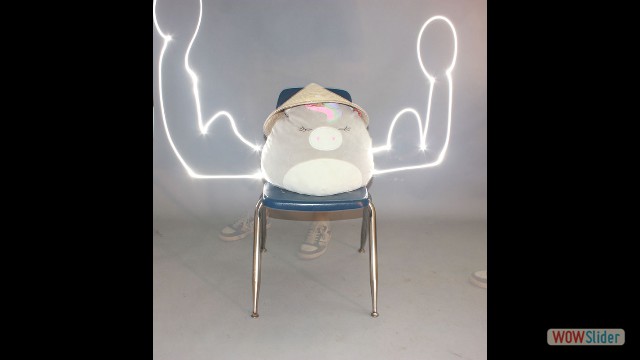Nicholas Cha