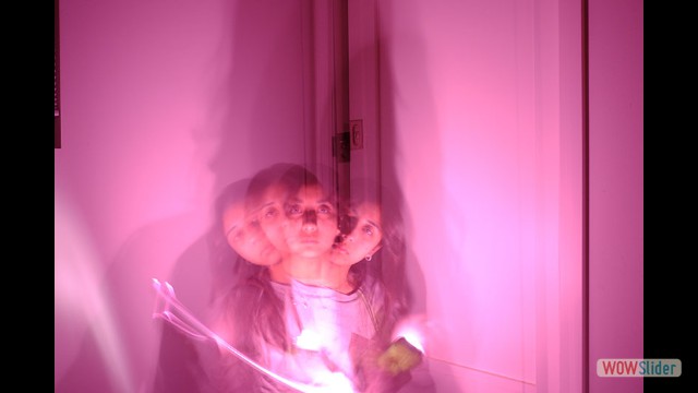Shahzad Ellie
