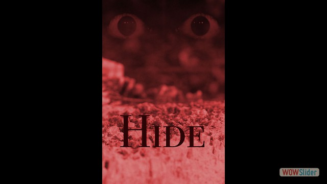 html slider