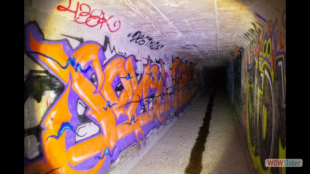 Graham Stalker