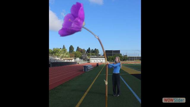 Pantaleon Bledsoe Samaire Odelle<br />Forced Perspective<br />Class of 2025 to 2026