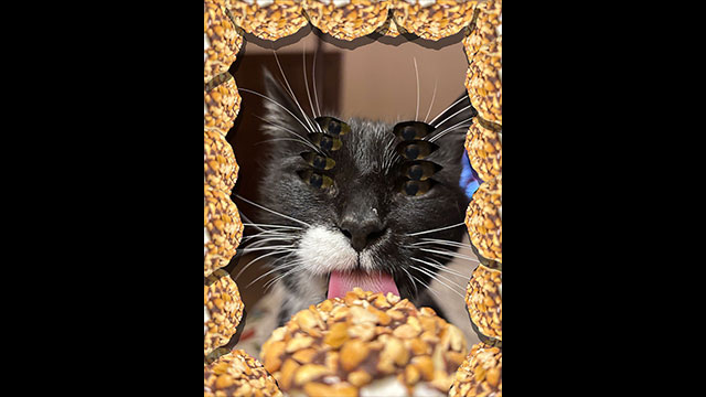 jquery image carousel