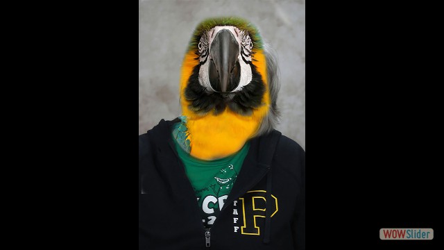Chang Ethan
